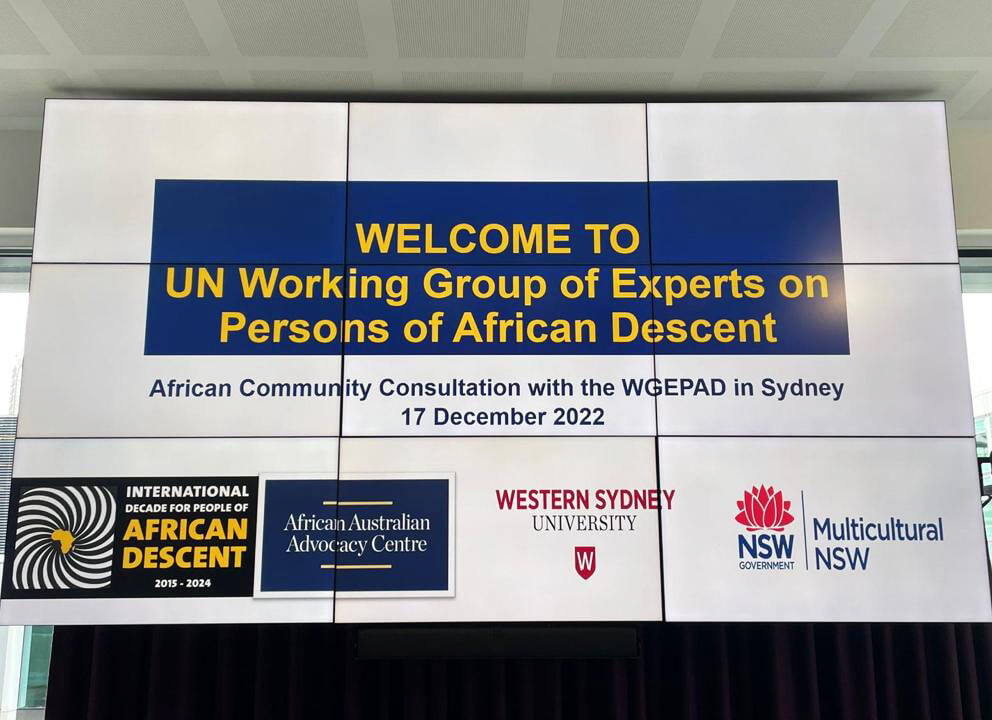 United Nations Working Group of Experts on Persons of African Descent Presentation